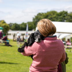 Novelty Dog Show